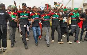 IPOB denies ESN kidnapped Taraba fisherman, demanded N20m ransom