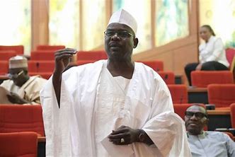 Defiant Ndume stands by his criticism of Tinubu, says he did nothing wrong, rejects appointment