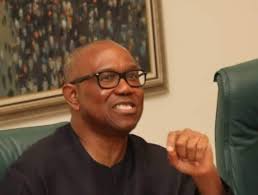 Peter Obi endorses Labour Party ahead of UK election