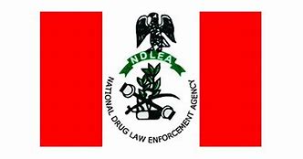 NDLEA proposes compulsory drug test for university admission seekers