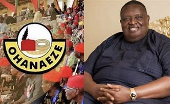 No leadership tussle over Iwunayanwu’s successor -Ohanaeze 