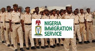 More than 320 illegal border routes in Nigeria -Ex-Immigration boss