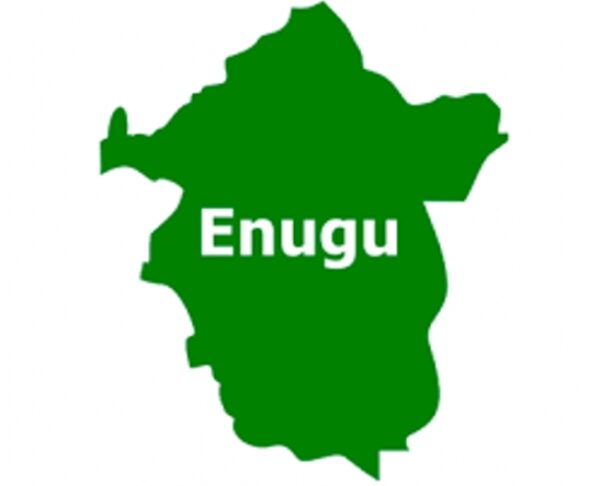 Enugu: LGA Chair appoints aides on garden egg, pepper, yam