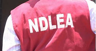 NDLEA intercepts N4.4bn illicit drugs at Lagos airport, nabs 30 suspects