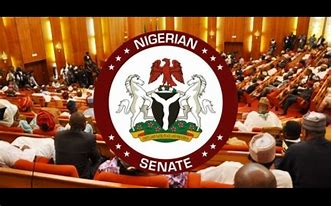 Senate passes Tinubu’s Tax Reform Bill for second reading