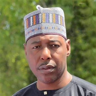 Gov Zulum tackles Tinubu over Tax Reform Bill, says it’s anti-North 