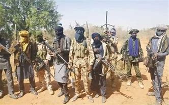 Local vigilance group routs bandits in Zamfara, kill several