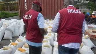 Nollywood filmmaker, others in NDLEA net over illicit drug trafficking 