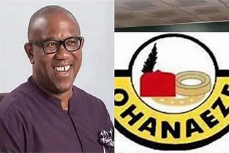 Obi charges Azuta-Mbata, new Ohanaeze executive to work for race, unity