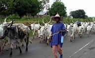 Pregnant woman, 5 others dead, several injured, missing in herders-farmers clash in Nasarawa