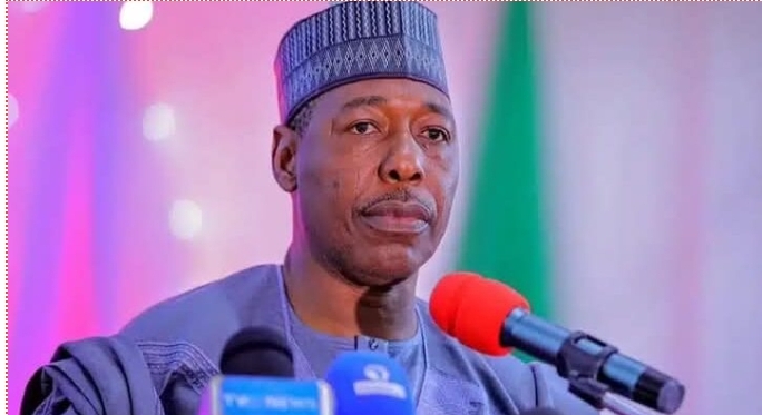 We’ve Boko Haram collaborators among politicians, soldiers – Zulum