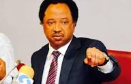 2027: Coalition against Tinubu’s re-election will fail -Shehu Sani