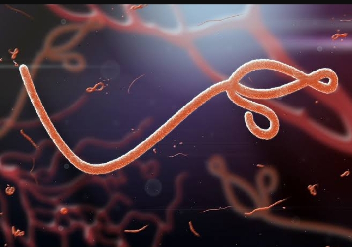 Fresh Ebola outbreak: FG tightens border control
