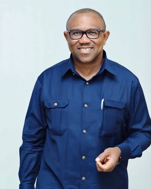 Story of Trump meeting with me is fake, devious – Obi